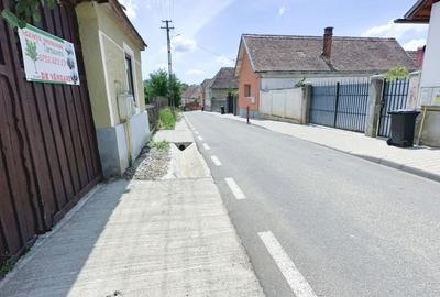 Casă cu 2 camere cu Teren 1384 Mp în Alma - 3