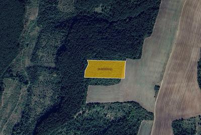 Teren agricol extravilan de 67000 mp, în Exterior Est - 4