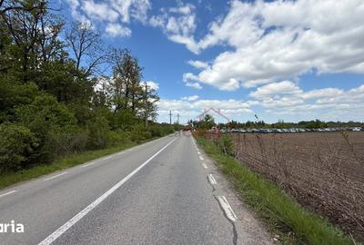 Teren de 20000 mp, în Găiseni