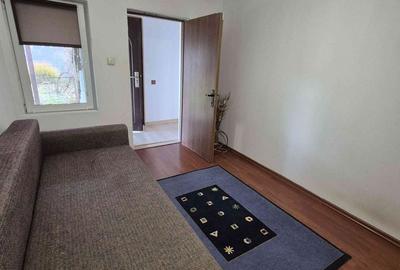 Casă cu 4 camere cu Teren 1200 Mp în Peciu Nou - 3