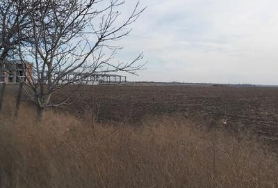 Teren agricol intravilan de 4.5 mp, în Brăilei - 11