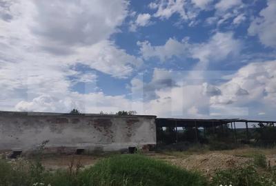Teren în Dragomirești - 3
