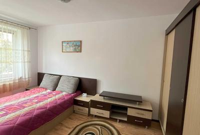 Apartament cu 2 camere semidecomandat în Terezian - 5