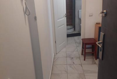 Apartament cu 2 camere decomandat, mobilat în Rahova - 8
