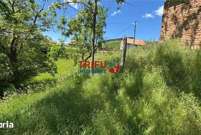Casă cu 2 camere cu Teren 1493 Mp în Vințu de Jos - 6