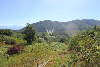 Teren Construcții intravilan de 1409 mp, în Cisnădioara - 1