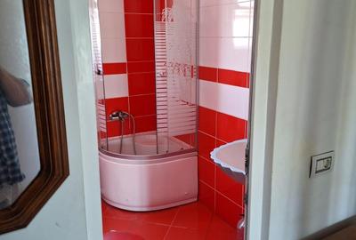 Apartament cu 2 camere decomandat în Coiciu - 9