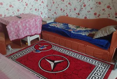 Apartament cu 2 camere semidecomandat în Central - 5