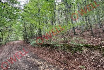 Teren agricol extravilan de 20 mp, în Dalnic - 2