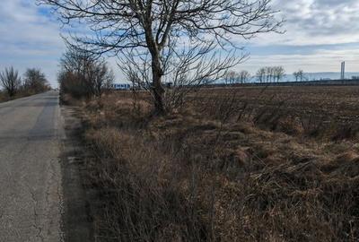 Teren Construcții intravilan de 10000 mp, în Vest - 6