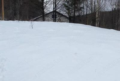 Teren de 800 mp, în Cheia - 3