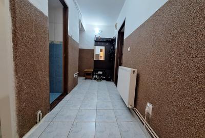 Apartament cu 2 camere decomandat, mobilat în Iosefin - 15