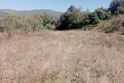 Teren de 3100 mp, în Moigrad-Porolissum - 1