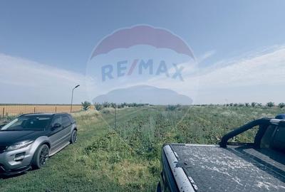 Teren agricol extravilan de 16750 mp, în Cârcea - 12