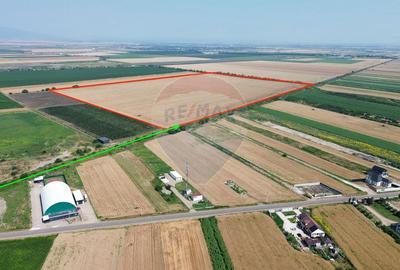 Teren agricol extravilan de 315258 mp, în Vânători - 4