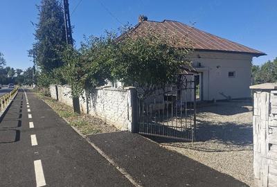 Casă cu Teren 1000 Mp în Criva de Sus