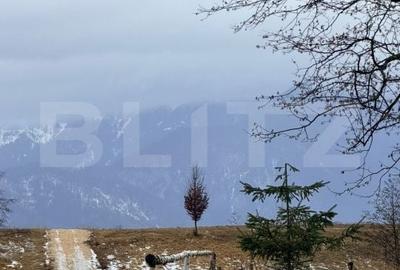 Teren de 80000 mp, în Central