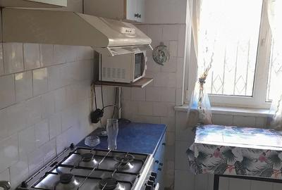 Apartament cu 2 camere semidecomandat în Podu Roș - 1