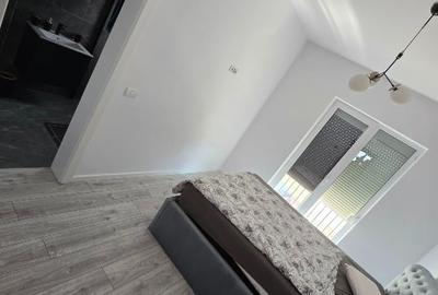 Duplex cu 4 camere cu Teren 366 Mp în Sânandrei - 8