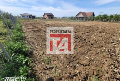 Teren de 1312 mp, în Coltău - 3