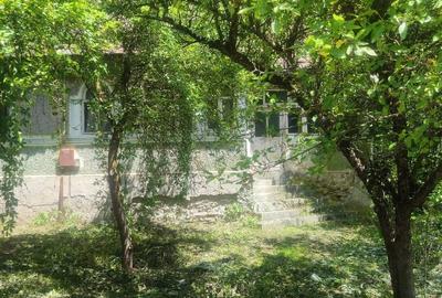 Casă cu Teren 4835 Mp în Central - 1