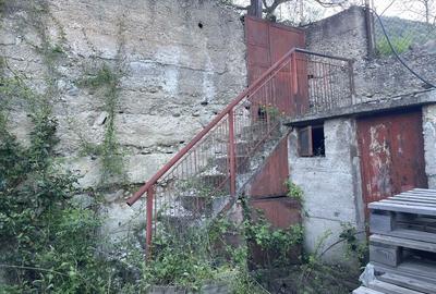 Casă cu 3 camere în Mehadia