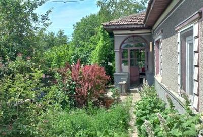 Casă individuală cu 3 camere cu Teren 1000 Mp în Plumbuita - 4
