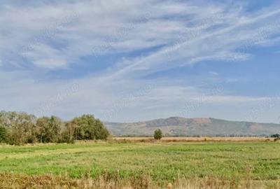 Teren de 3300 mp, în Dridif