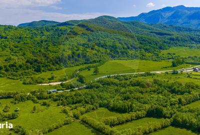 Teren de 10000 mp, în Central