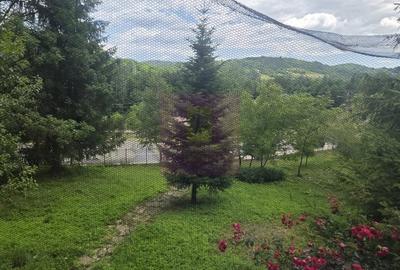 Casă cu 5 camere în Central