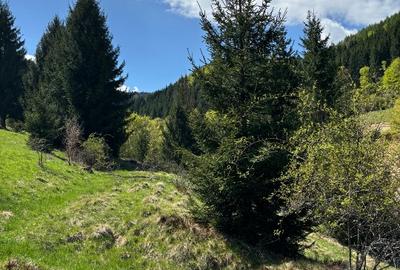Teren agricol extravilan de 5000 mp, în Glod