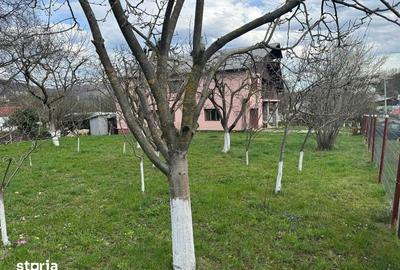 Casă cu 4 camere cu Teren 270 Mp în Gura Beliei - 4