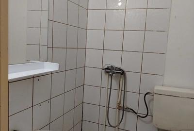 Garsonieră decomandată în Nicolina - 1