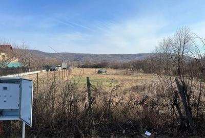 Teren de 863 mp, în Vălenii de Munte - 2