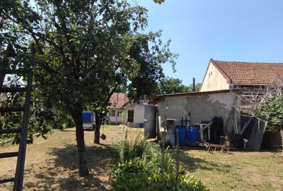 Casă cu 3 camere în Belinț