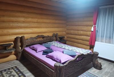 Casă cu 3 camere în Vatra Dornei - 6