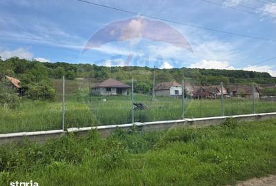 Casă cu 3 camere cu Teren 4234 Mp în Adămuș - 10