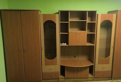 Apartament cu 3 camere decomandat în Dosu Bricii - 4
