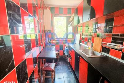 Apartament cu 2 camere semidecomandat în Alexandru cel Bun