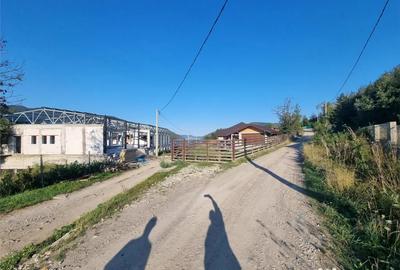 Teren de 6000 mp, în Central - 5