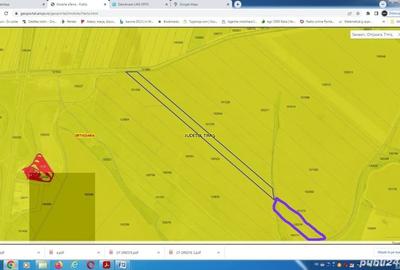 Teren de 50000 mp, în Seceani - 4