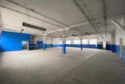 Spațiu industrial, de 50 mp, în Cisnădie