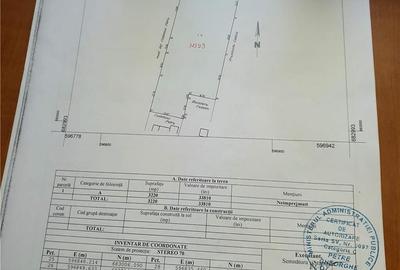 Teren de 3320 mp, în Lisaura