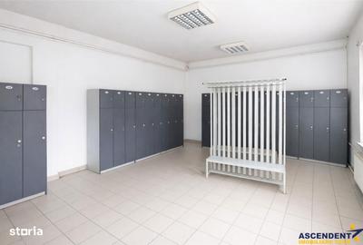 Spațiu comercial, de 4,560 mp, în Brețcu - 12