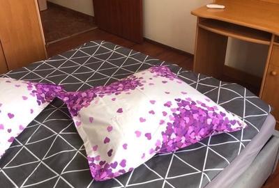 Apartament cu 2 camere decomandat în Far