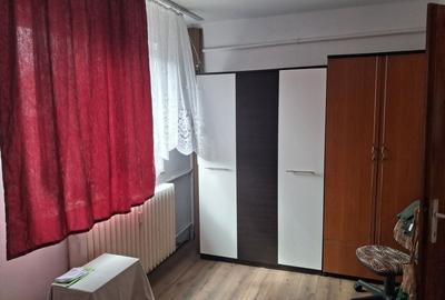 Apartament cu 2 camere semidecomandat în Craiovița Nouă - 2