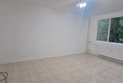 Apartament cu 2 camere decomandat în Valea Oltului - 3
