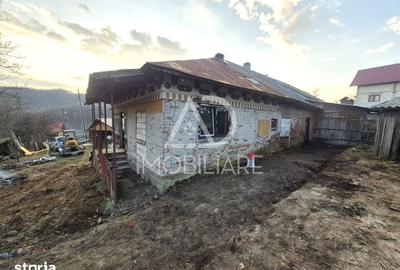 Casă cu 4 camere cu Teren 1748 Mp în Cernișoara - 12