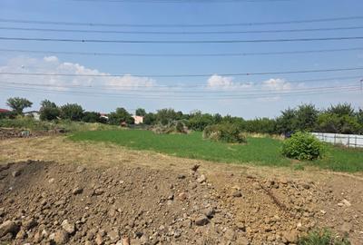 Teren Construcții intravilan de 3400 mp, în Nicolae Grigorescu - 1
