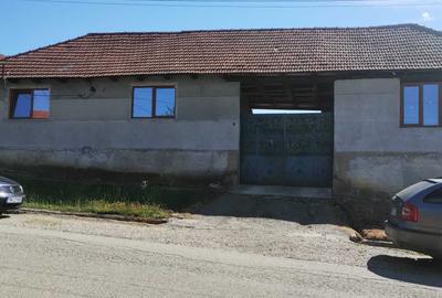 Casă cu 2 camere în Drinova